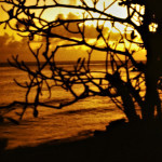 04-84-sea-porch-sunset.jpg