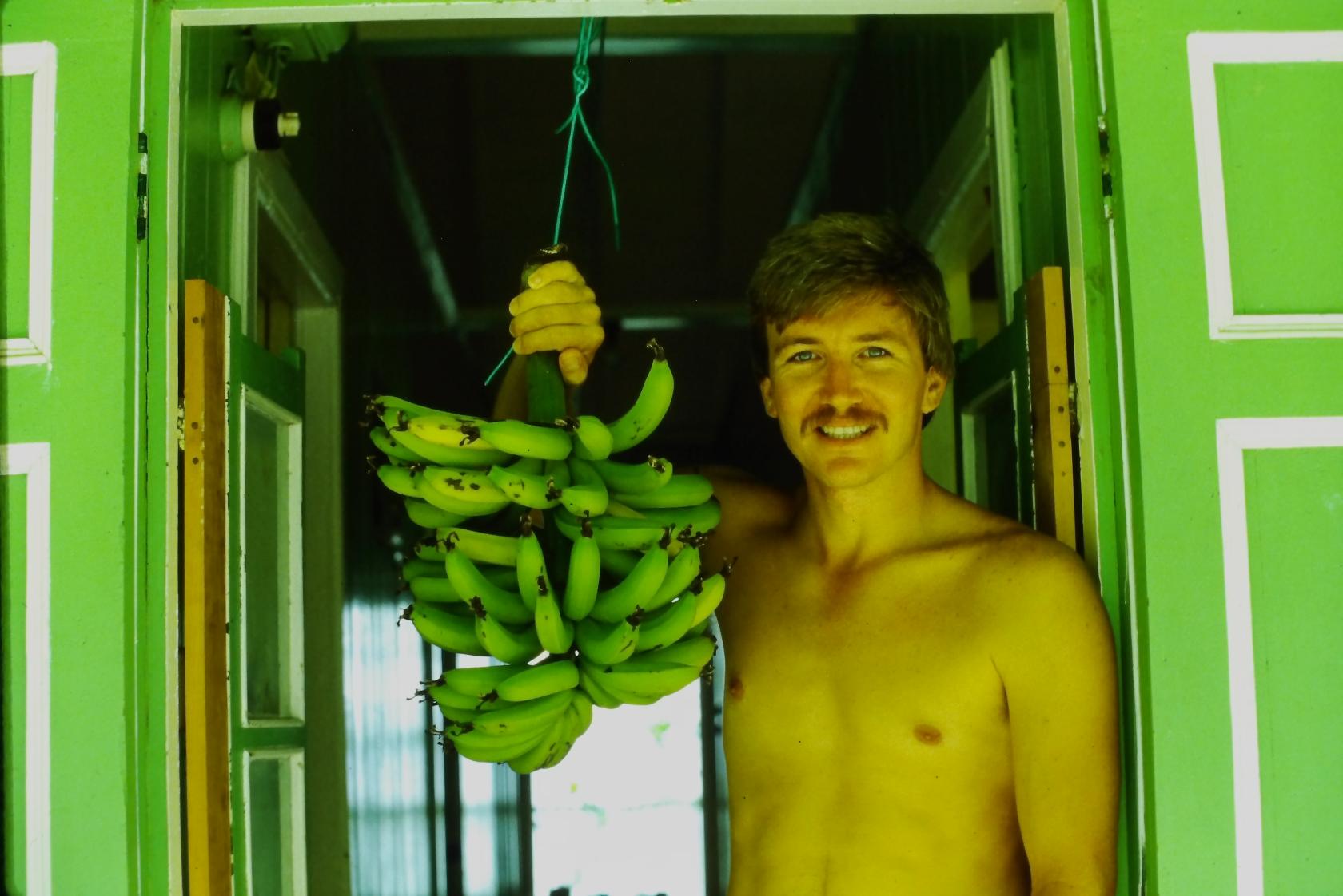 04-84 Banana Harvest.JPG